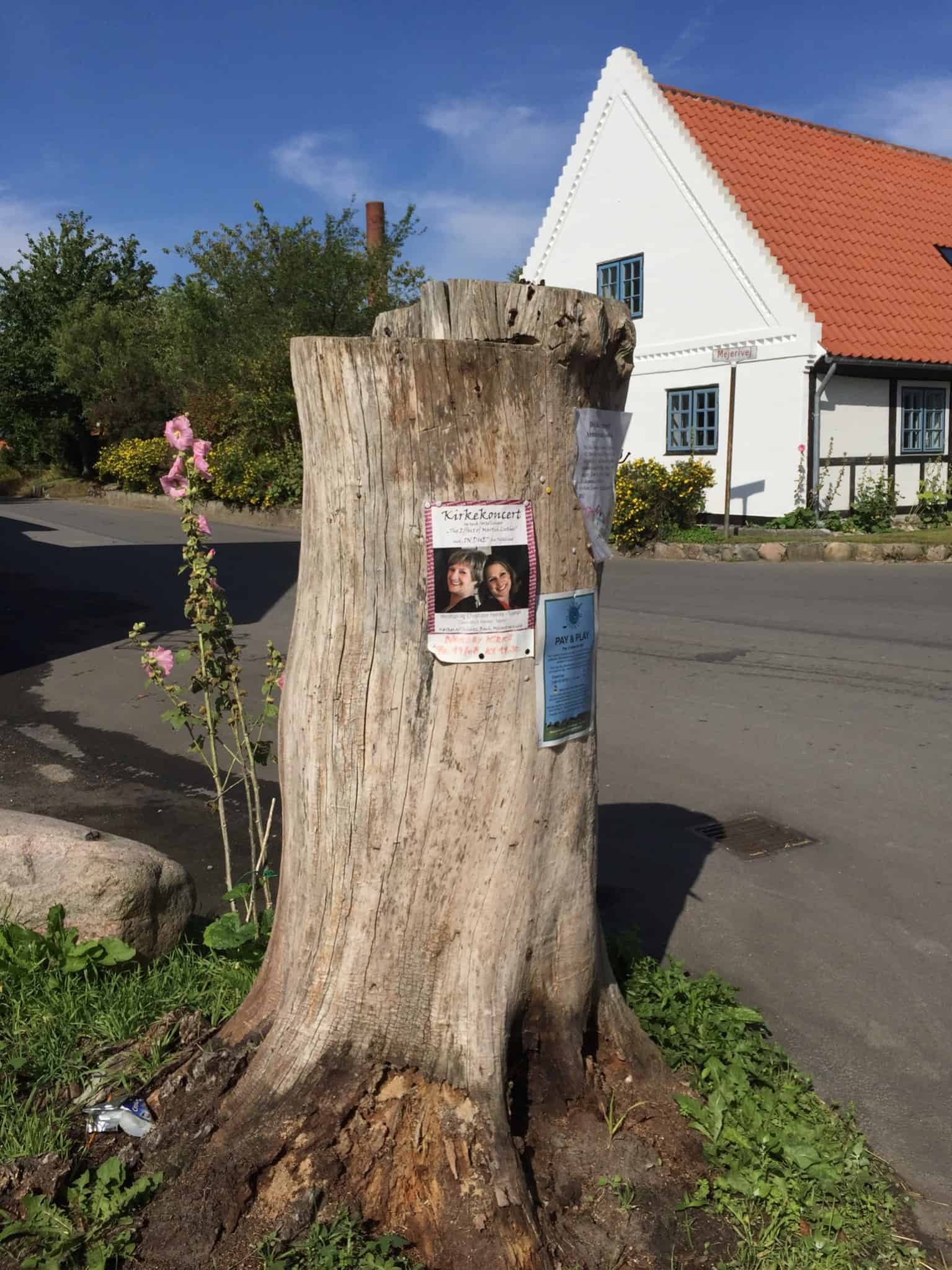 Samsø - på smuttur og gåtur!
