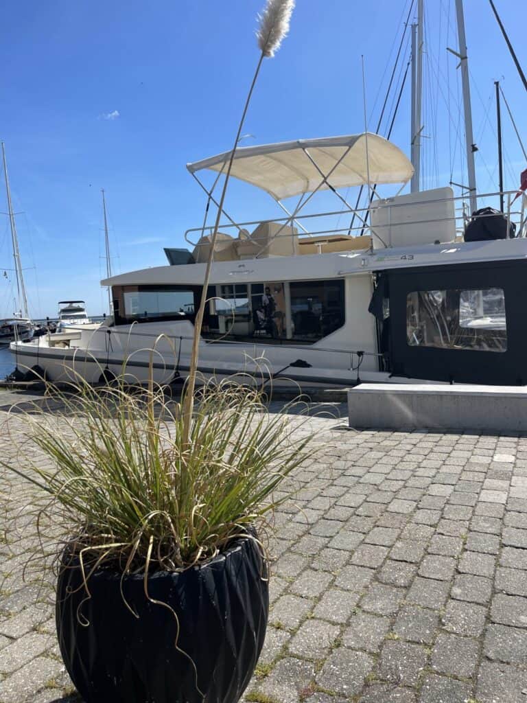 Marselisborg - Colina på plads