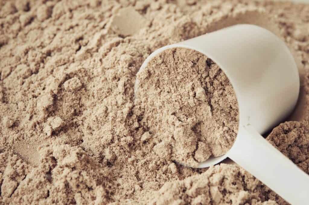 plantebaseret proteinpulver