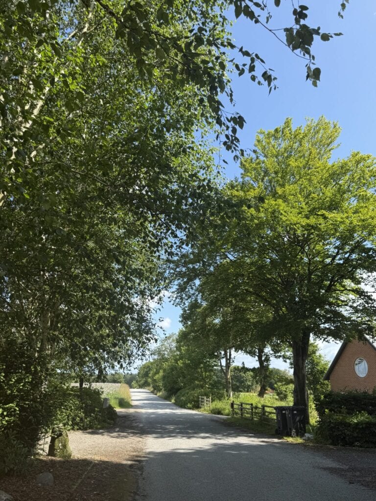 oppe ved skolen