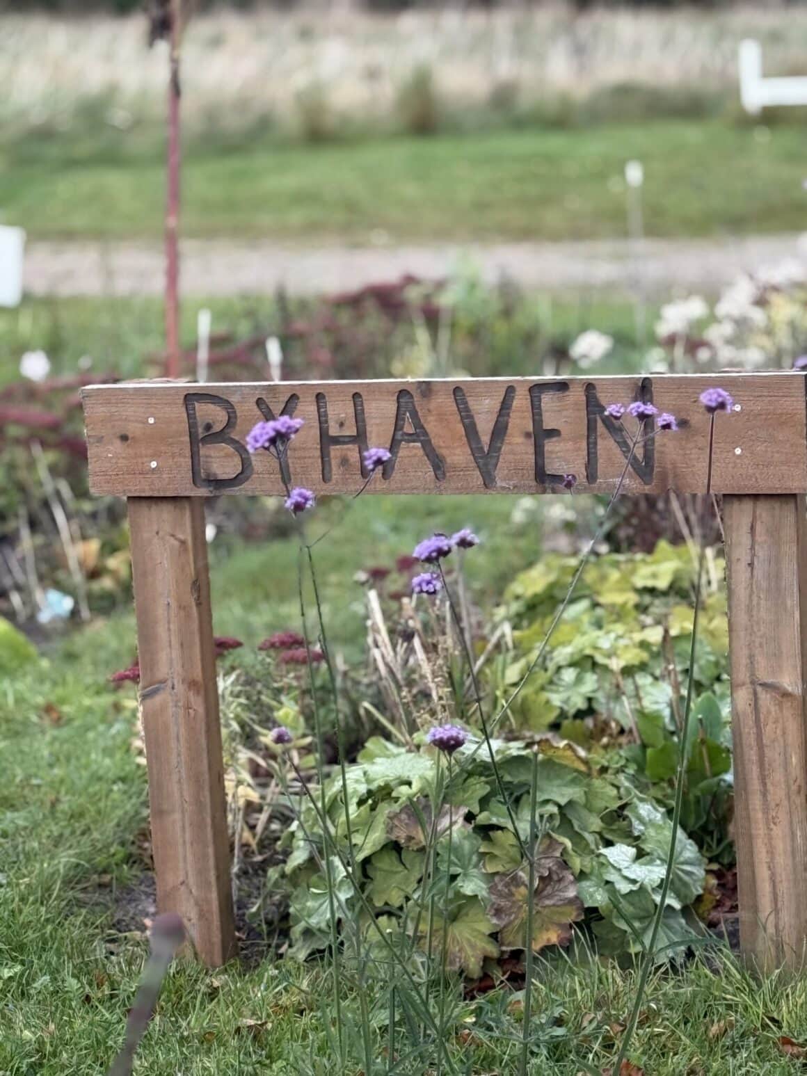 Byhaven