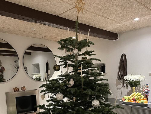 juletræ