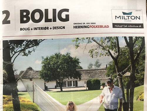 Avis artikel