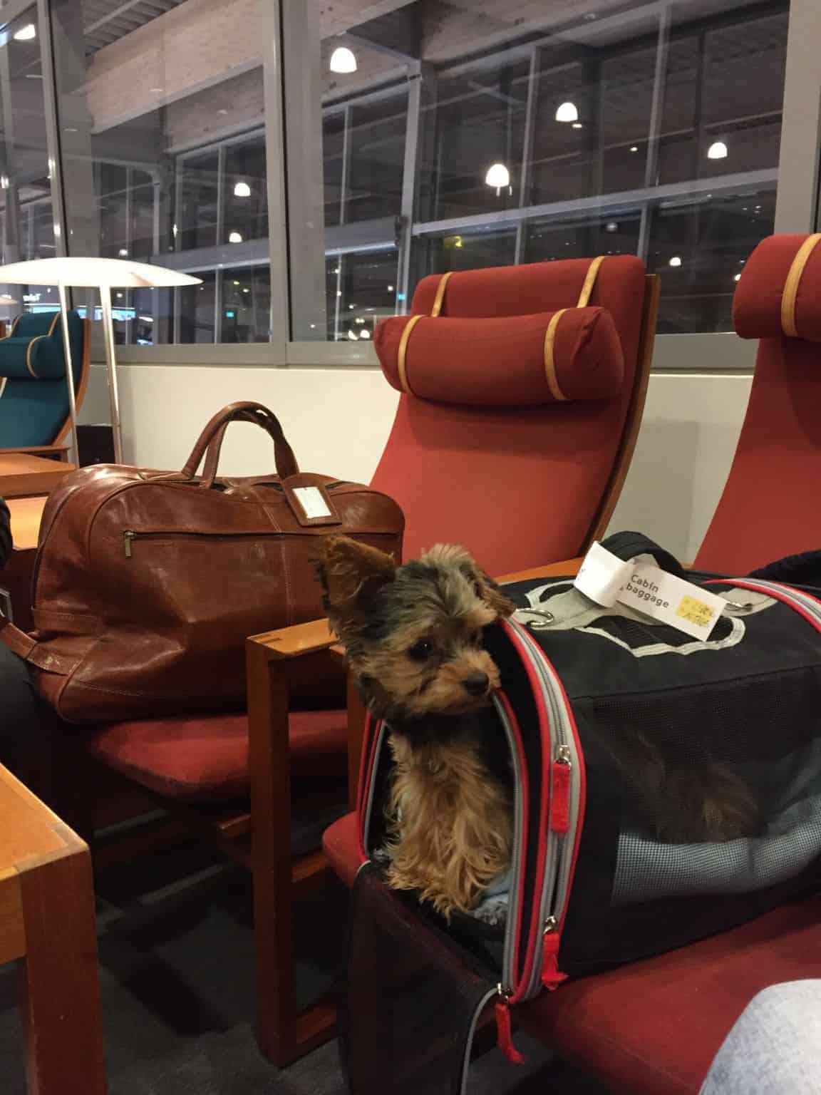 Så godt gik flyveturen med Bobo