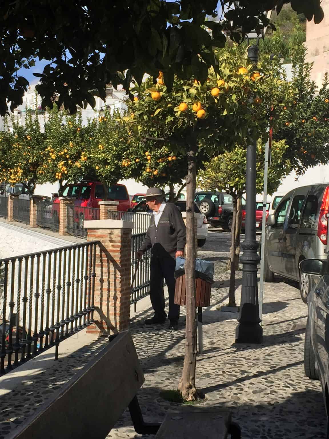 U D F L U G T og frokost i Frigiliana - igen:-)