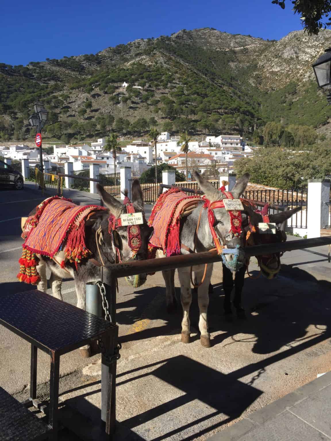 R O A D T R I P til COIN og MIJAS - part two!