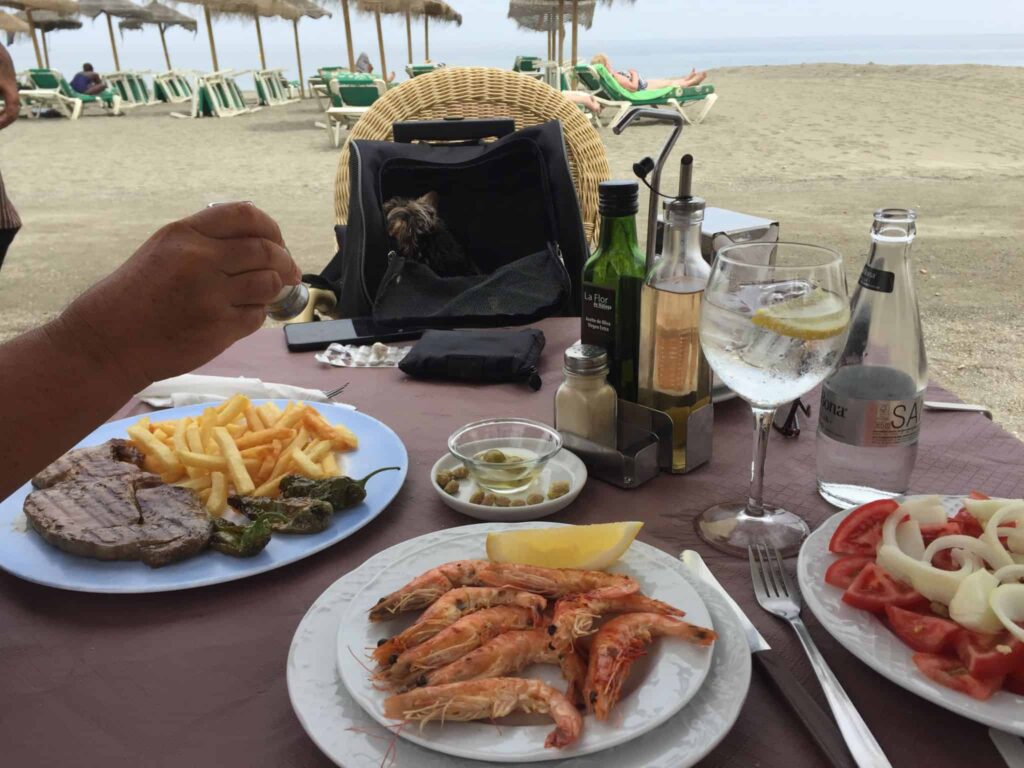 En typisk dag på Bjerget bag Torre del Mar