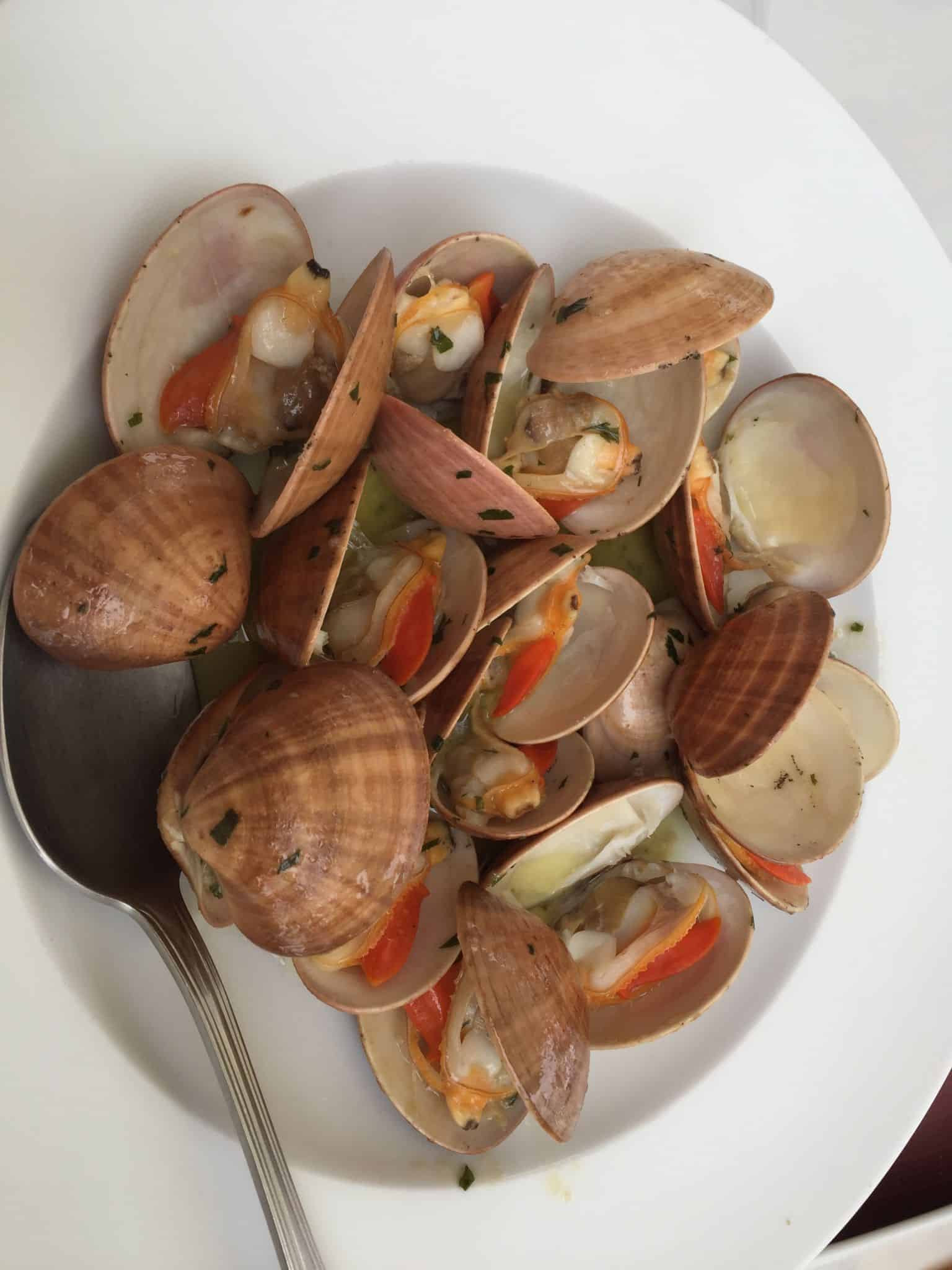 Blandede fotos fra en måned i Spanien