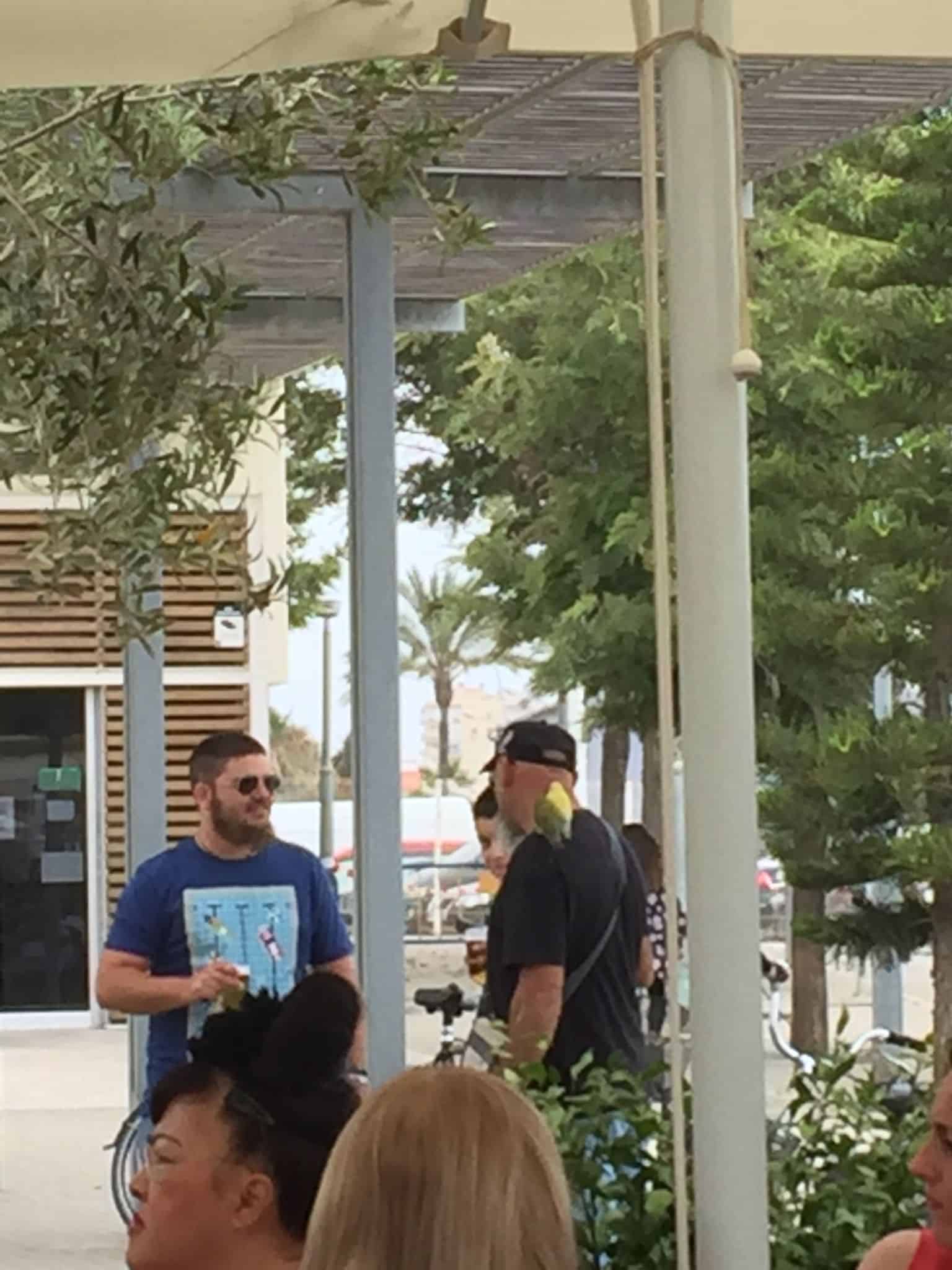 Blandede fotos fra en måned i Spanien