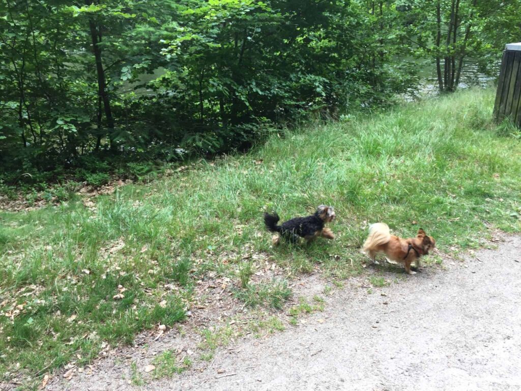 Indelukket - ude i naturen!