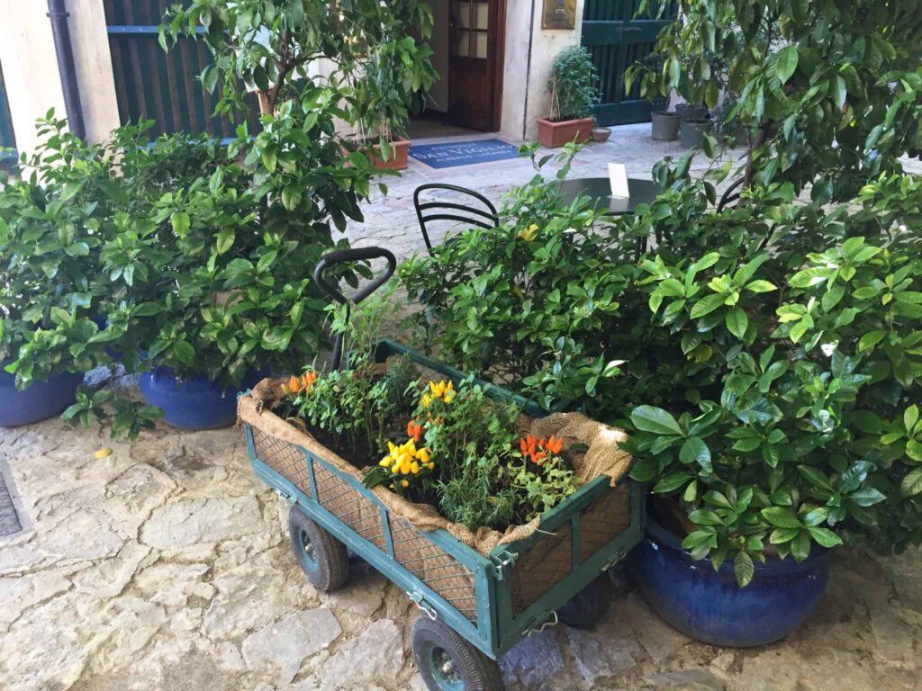 Frokost i Punta di San Vigilio - cool oplevelse