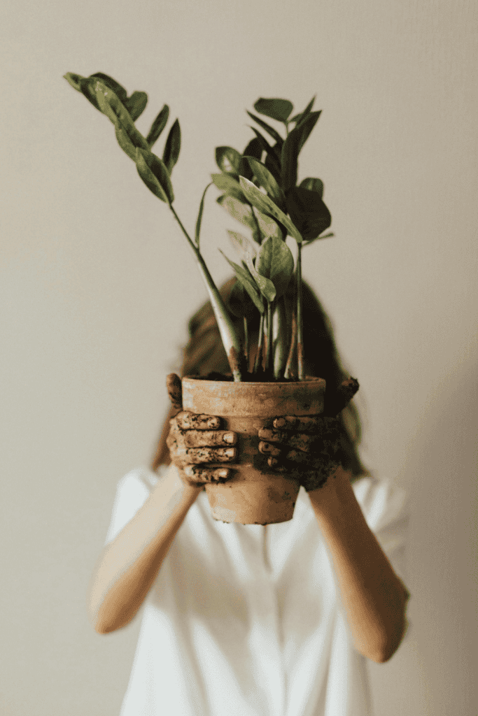 environmental self-care examples