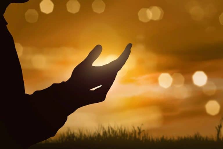 how to surrender to the universe