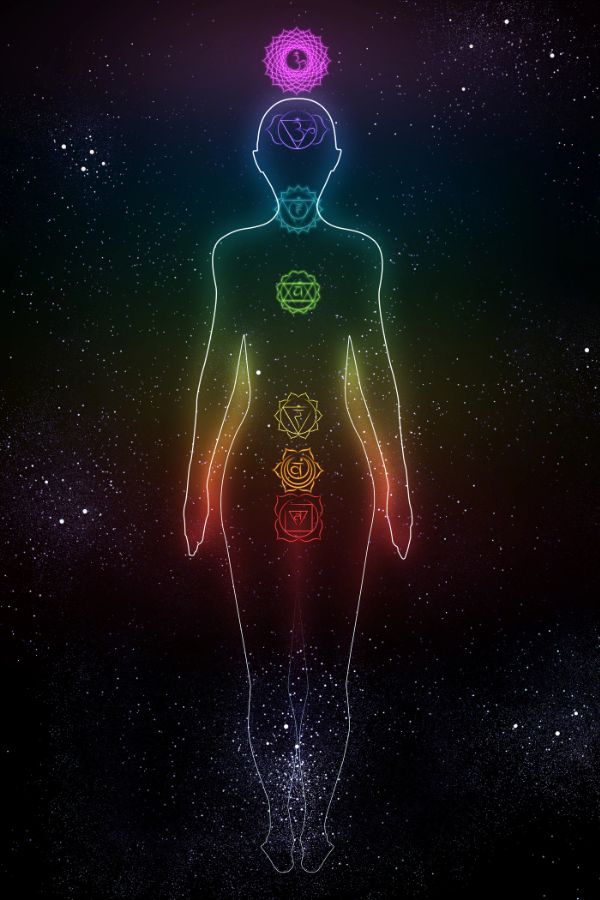 7 chakras of the human body