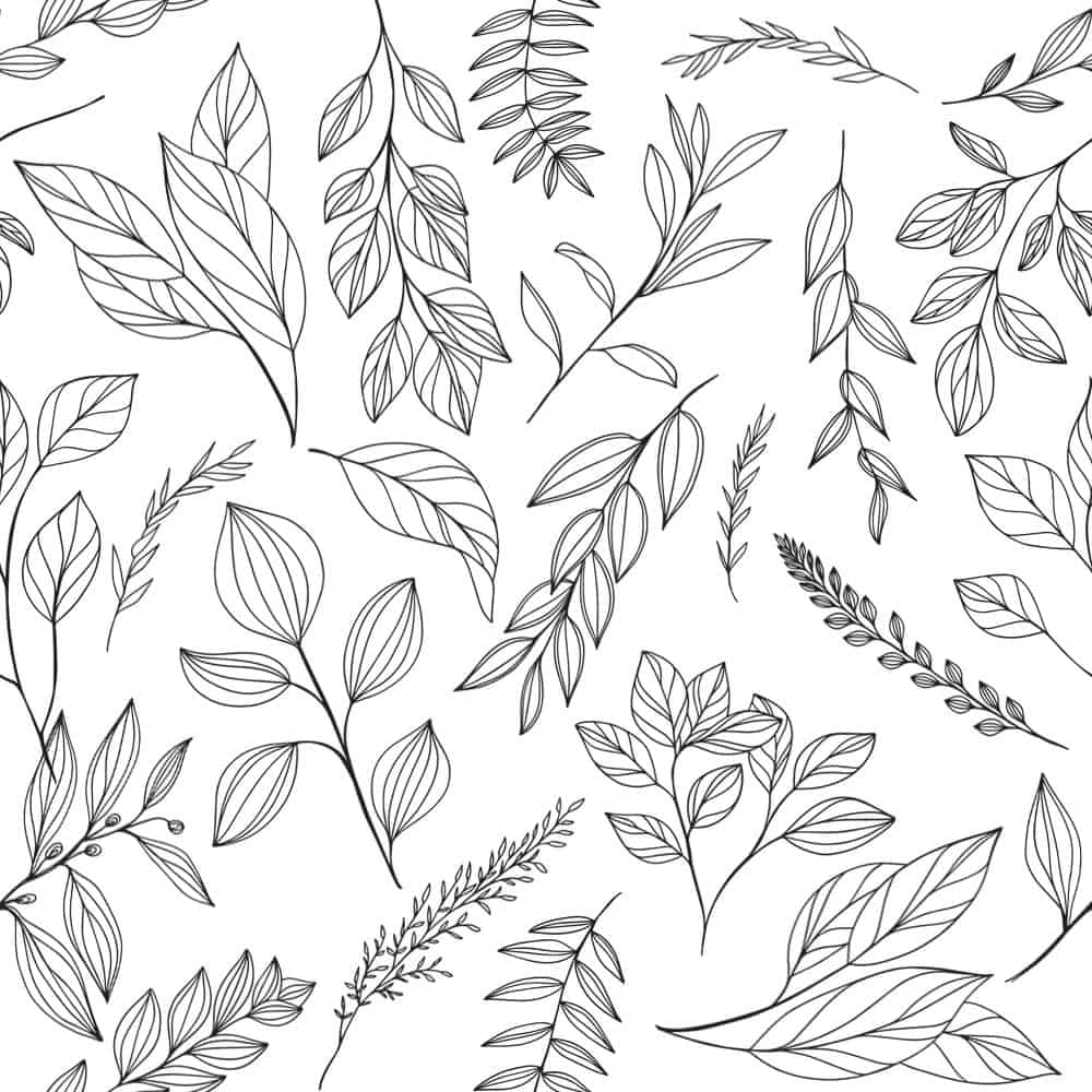 Delicate black and white botanical leaf pattern, perfect for nature-themed design projects.
