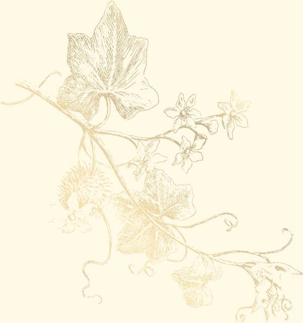 Vine and flower illustration for Mountain Harbour logo search engine optimization.