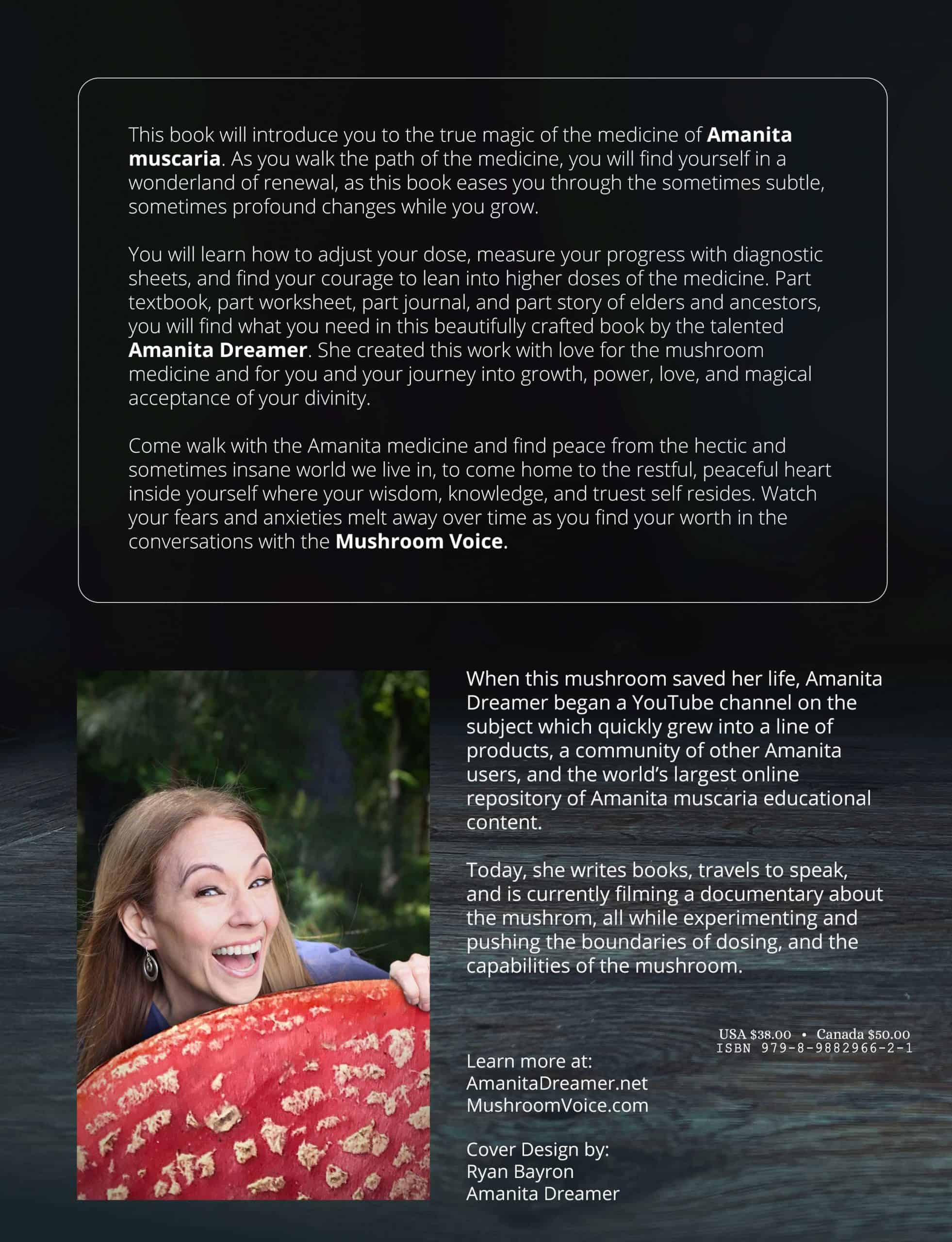 Guidebook - Image 2