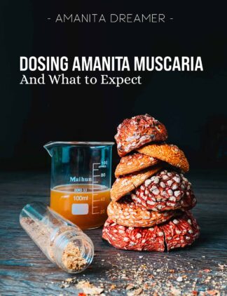 Scratch and Dent