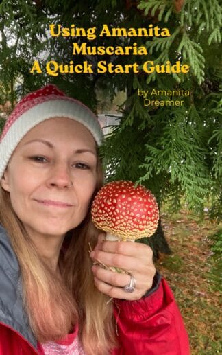 Quick Start Handbook pdf
