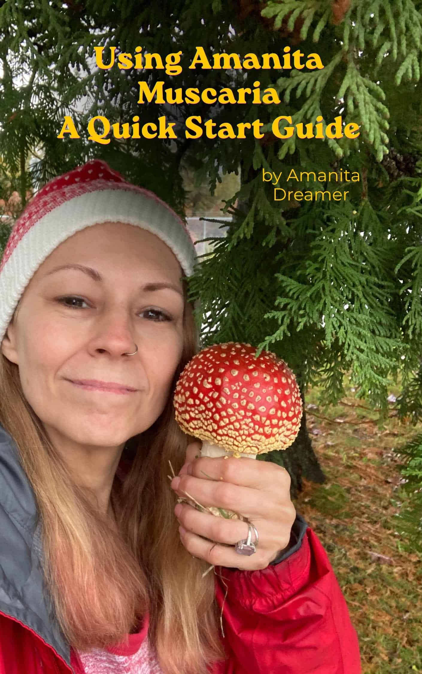 Quick Start Handbook pdf