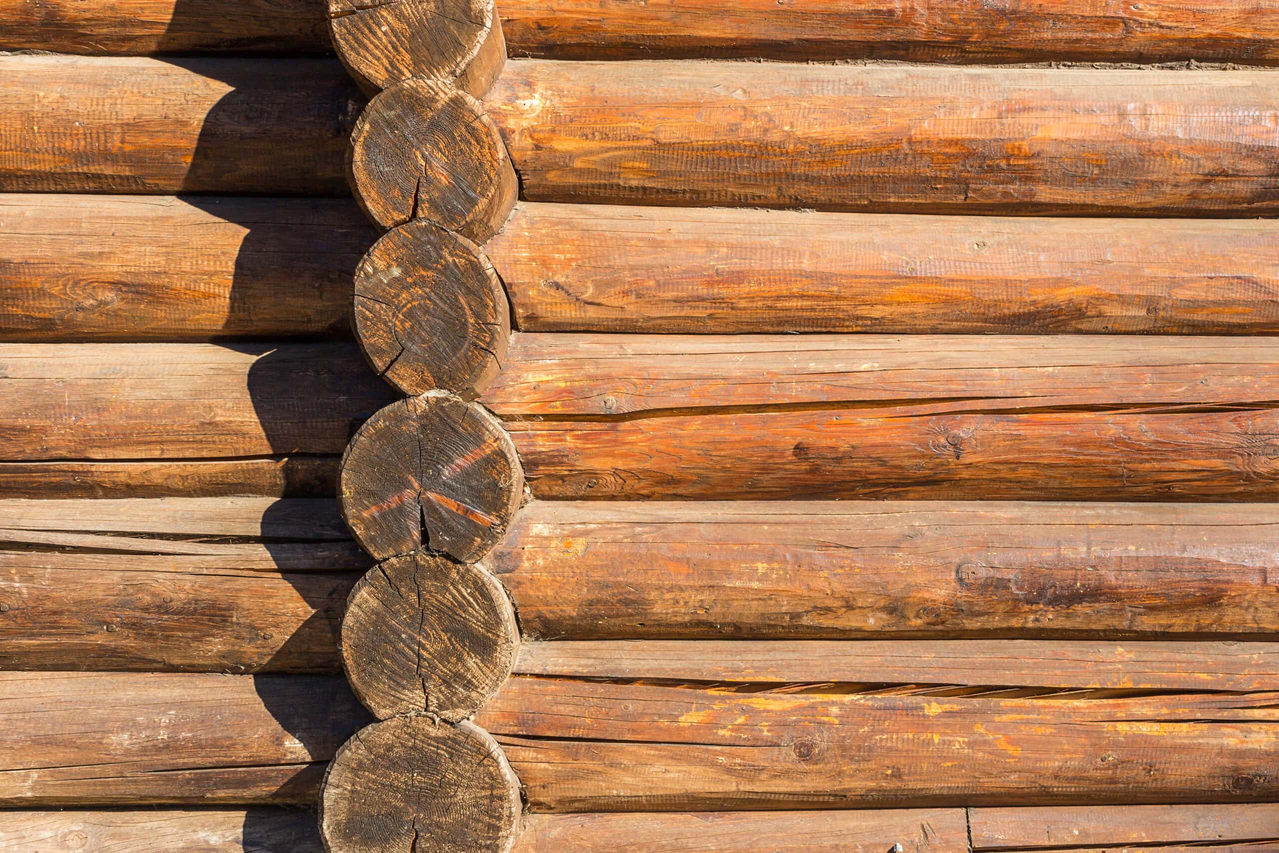 Log
