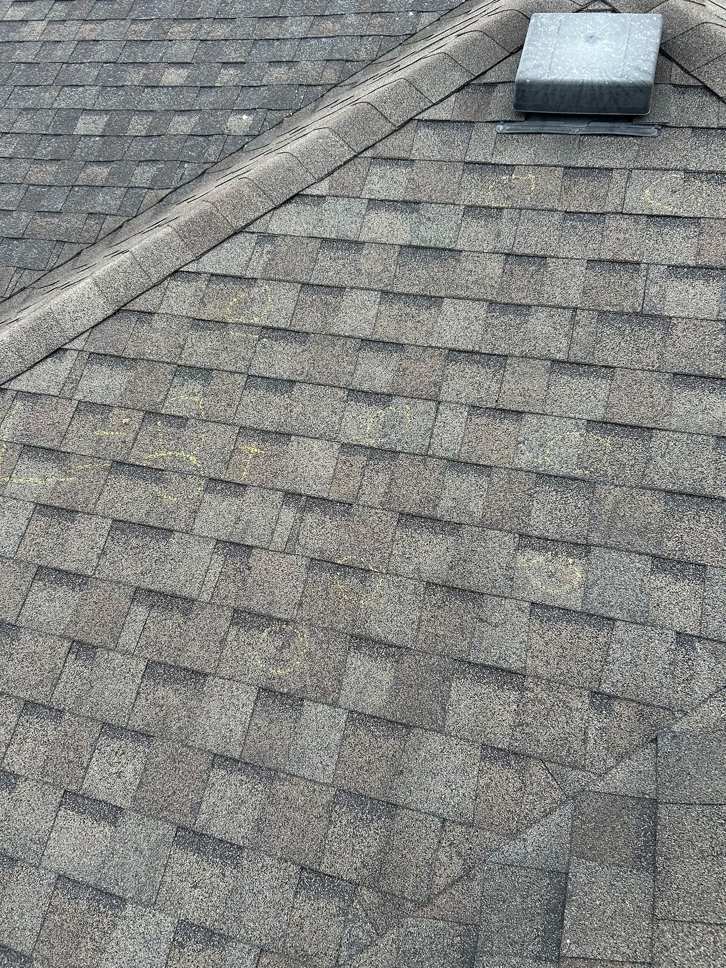 Granule loss (gritty buildup in gutters)
