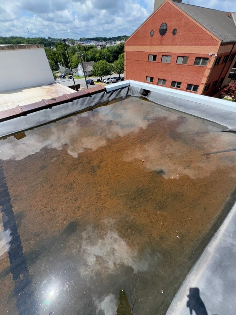 Standing water on the old rubber roof of the Phelps County Historical Museum in Rolla