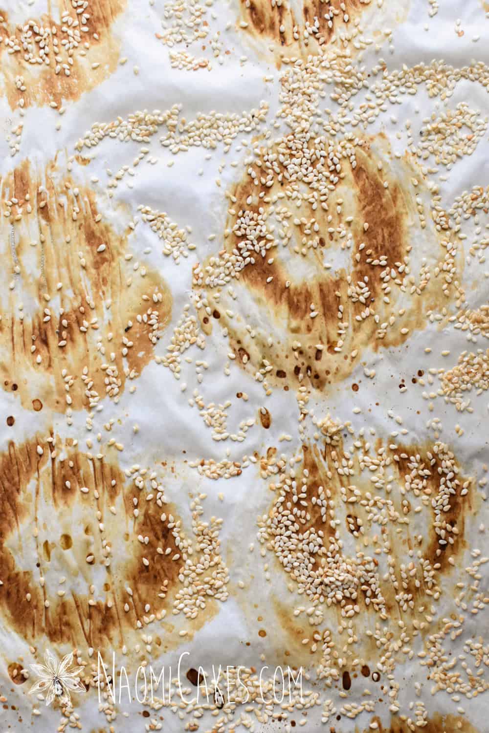 Baking by Weight vs. Baking by Volume [A Lesson from the Bagels]