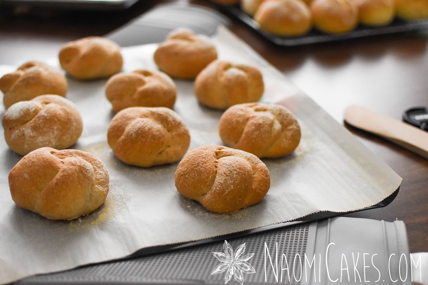 Basic Whole Wheat Rolls [Recipe]