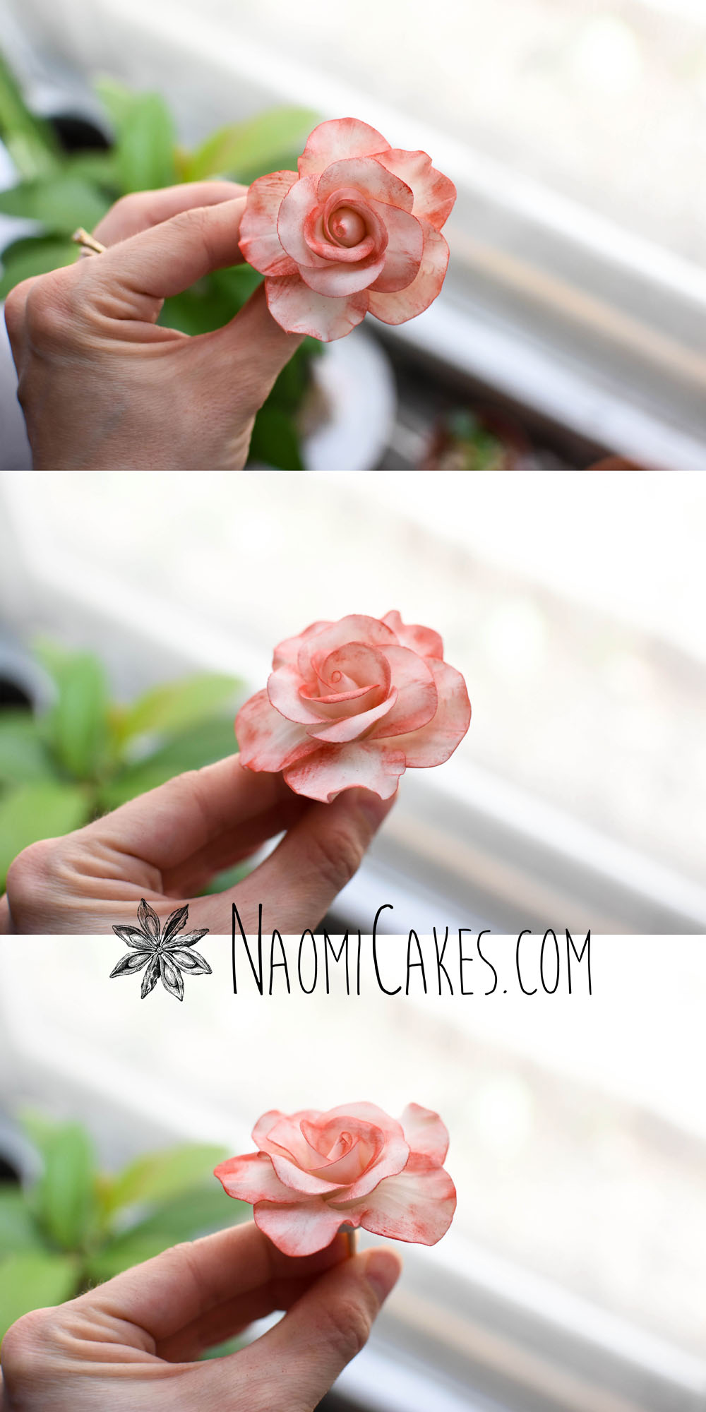 This image has an empty alt attribute; its file name is paintingroses06_edited-1.jpg