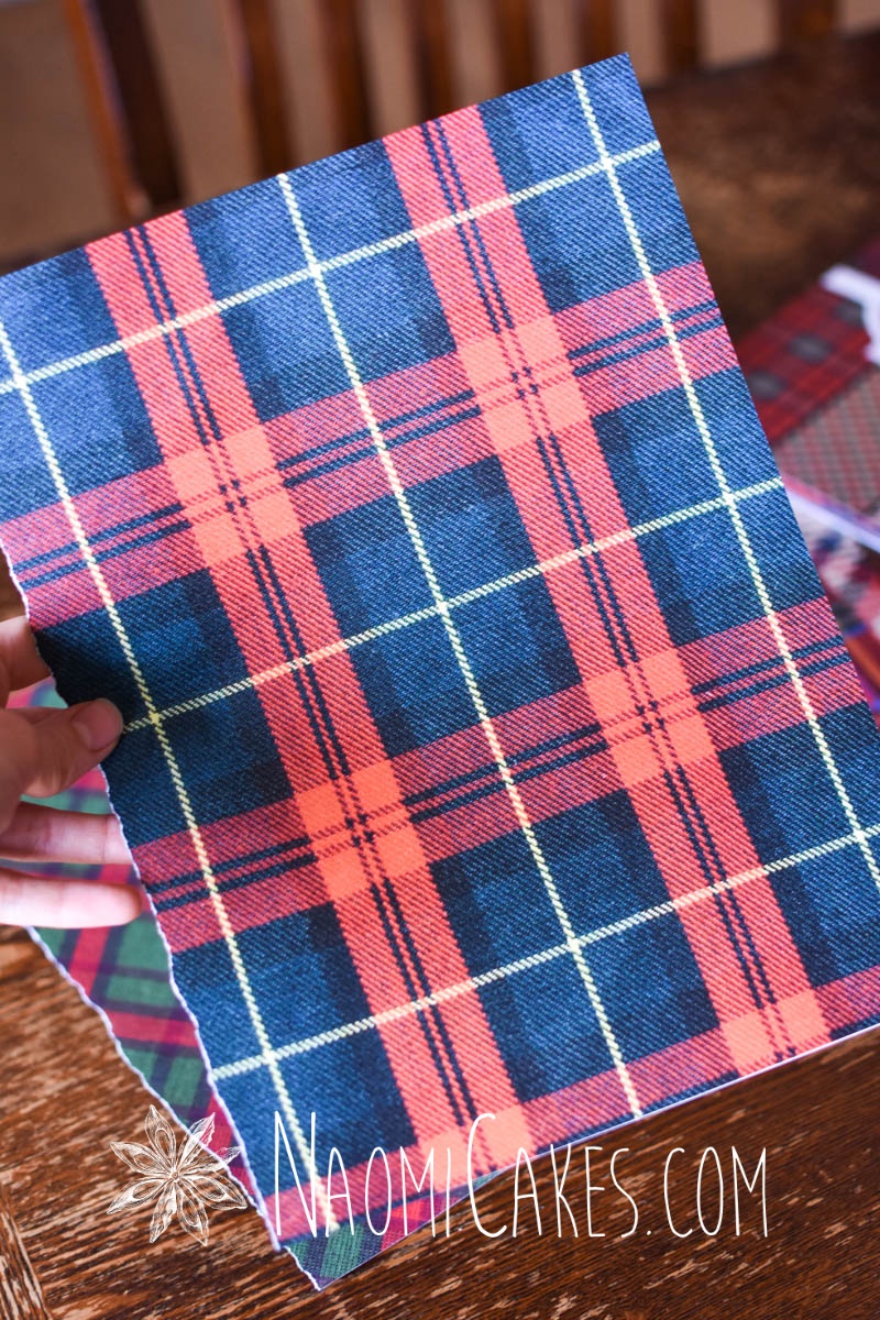 Hand holding blue and red plaid Christmas paper