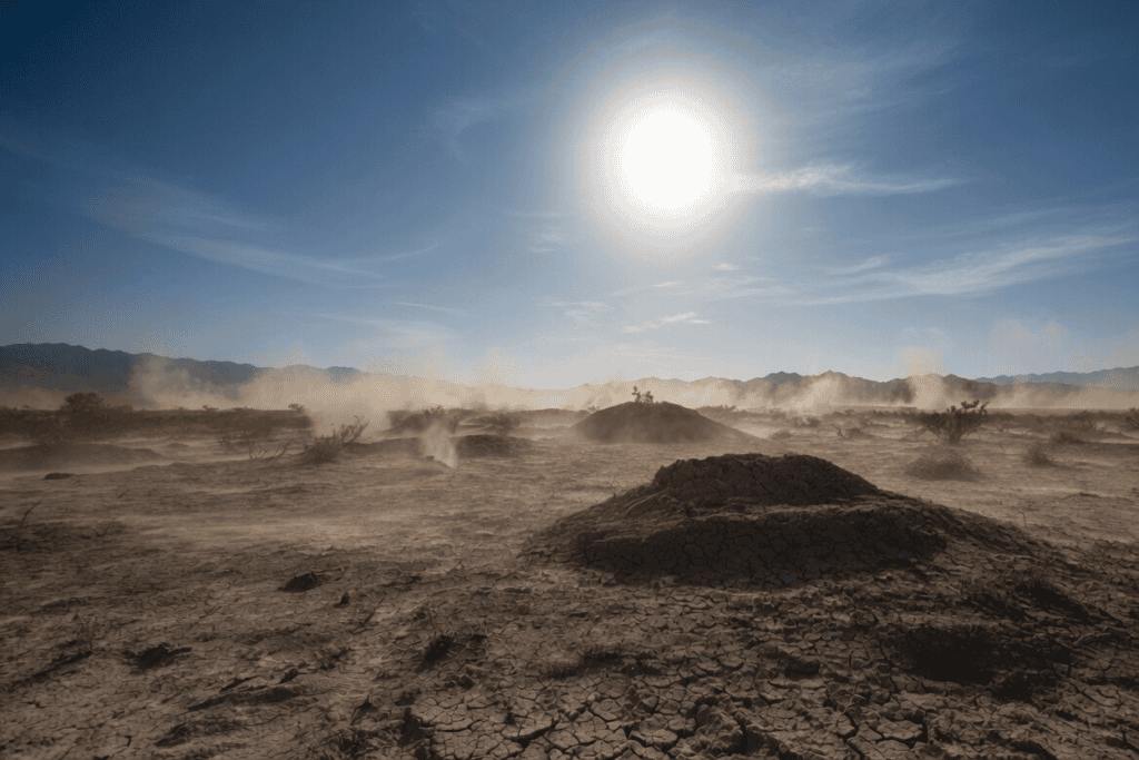 Top Budget Solar Panels For Nevada 2026: Full Cost Vs Savings Breakdown