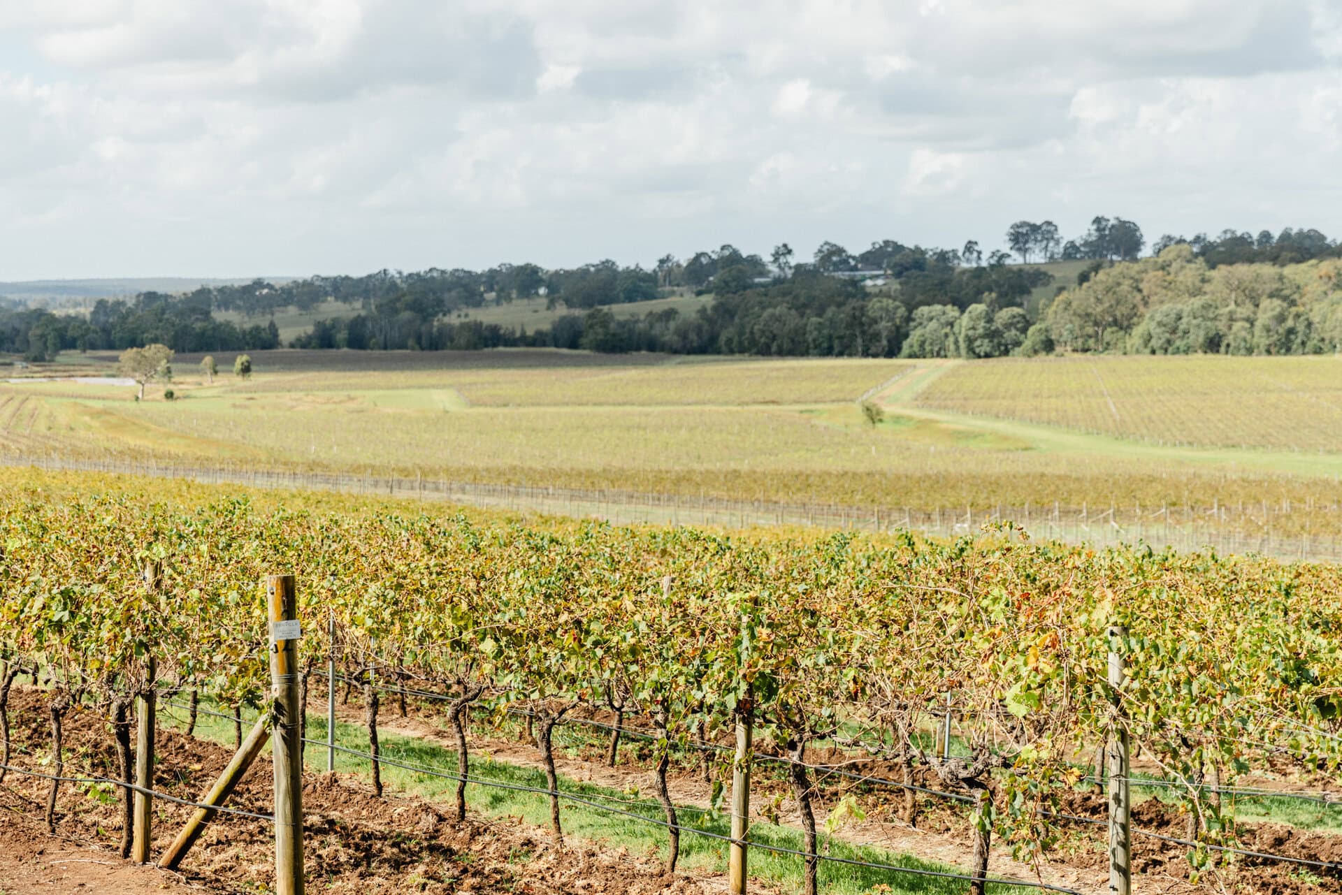 &nbsp;