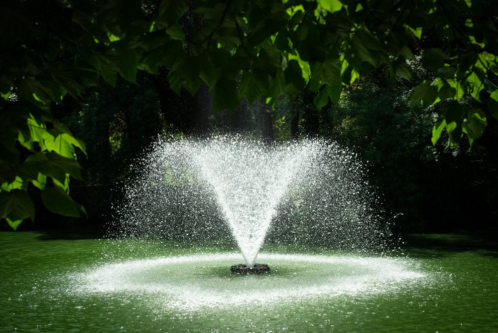 A burst of serenity: fountain spray sparkles in the heart of a lush green park.