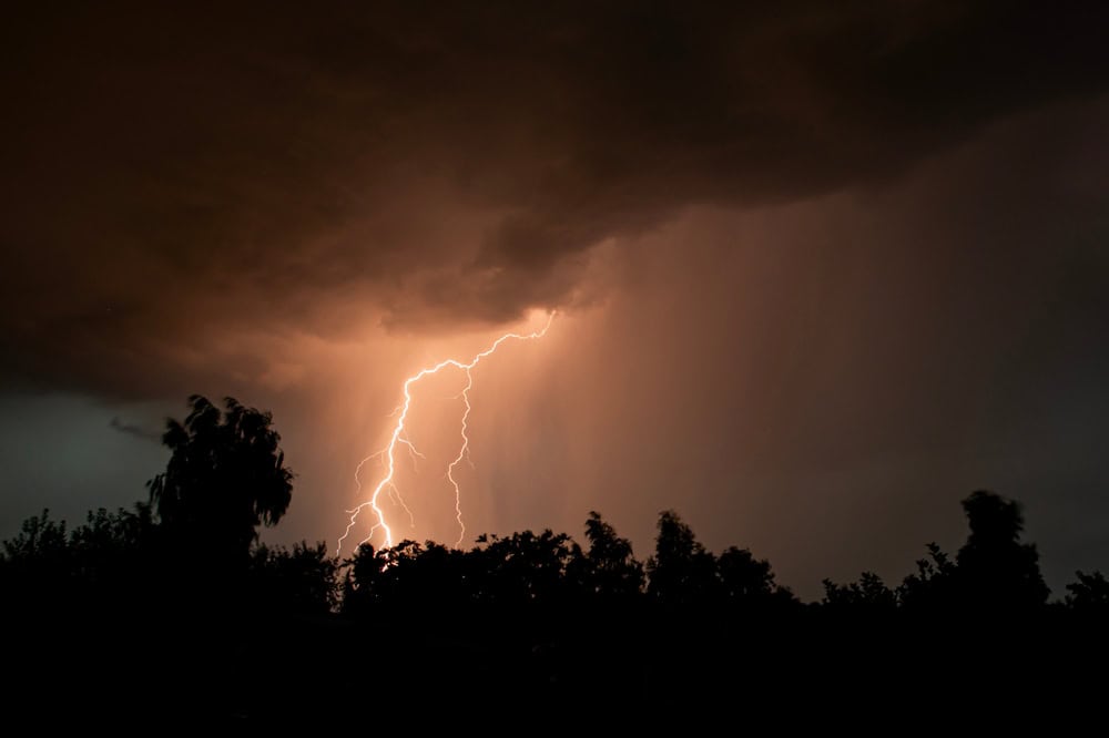Lightning illuminates the night sky over a dark, silhouetted forest.