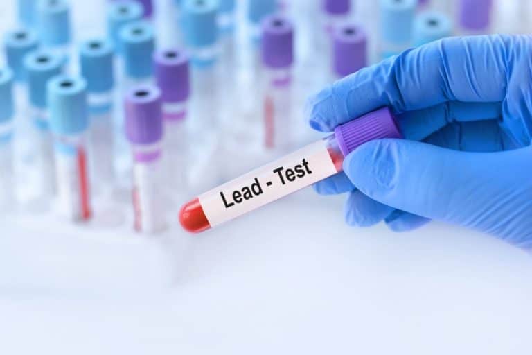 Gloved hand holding a labeled water sample prepared for lead analysis