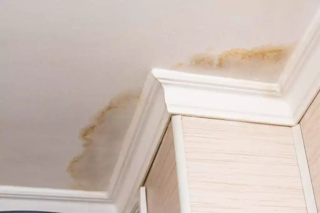Water damage stains spreading across a white ceiling and crown molding, indicating a potential leak issue in the home.