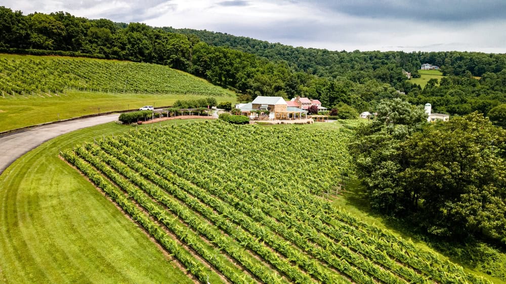 Vineyards in Loudoun County.