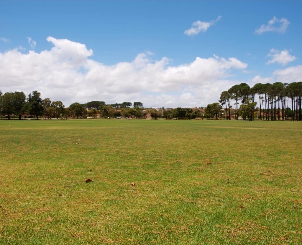 Open field bordered by trees.