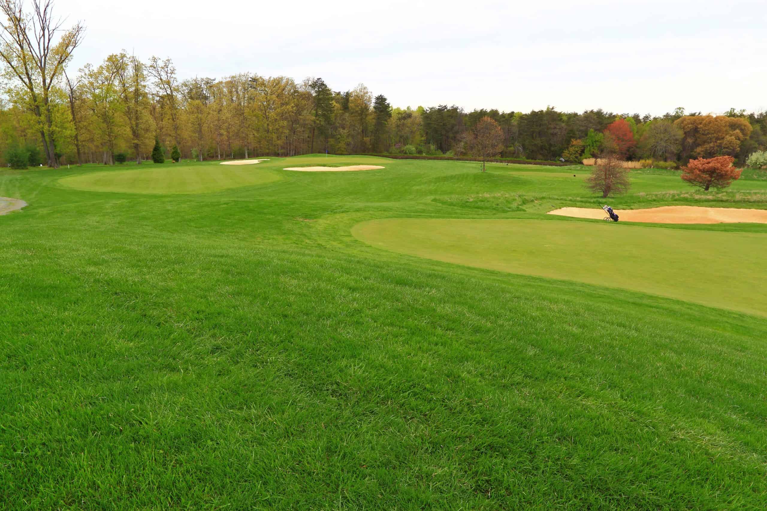 A golf course green with sand bunkers bordered by trees in Oakton, Virginia.