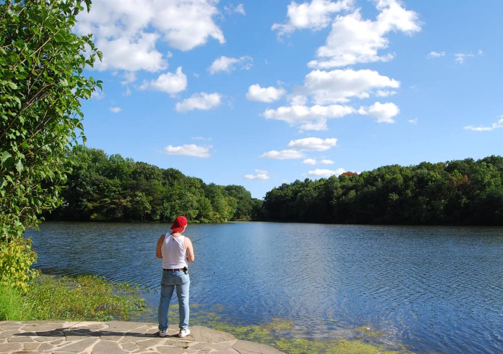 A person fishing at a wooded lake