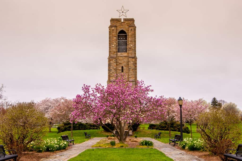 A stone carillon bell tower with a star finial framed by blooming pink trees in Baker Park, Frederick, Maryland