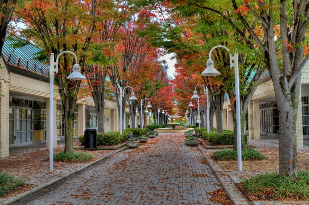 Brick pedestrian street and storefronts.