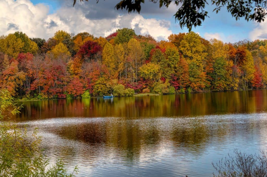 Autumn foliage at Centennial Park.
