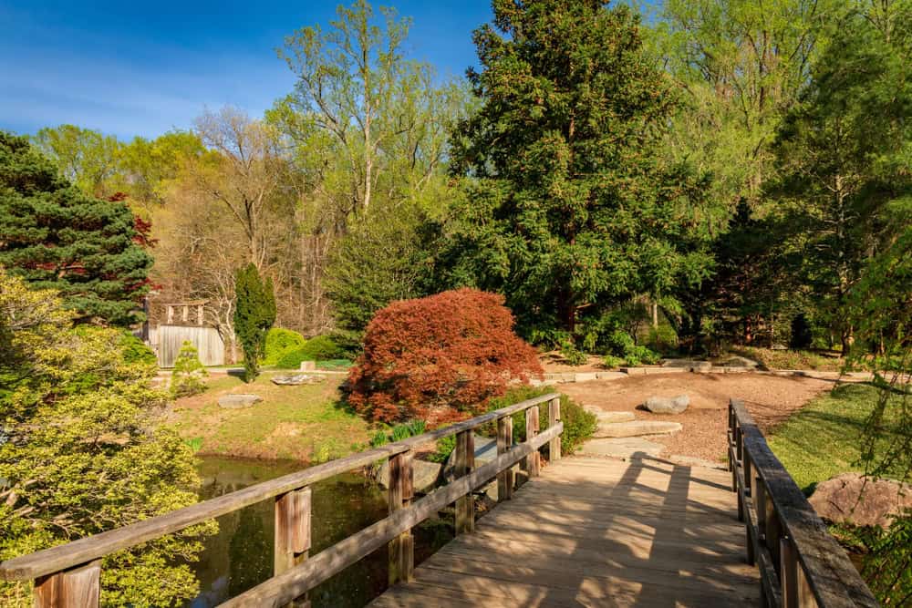 A wooden footbridge over a pond in the Japanese garden at Brookside Gardens near Glenmont, Maryland