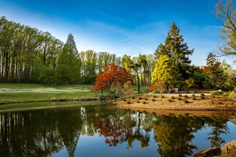 Pond and gardens at Brookside Gardens.