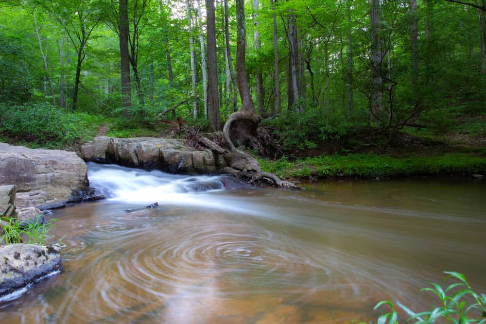 Stream flowing through the woods.
