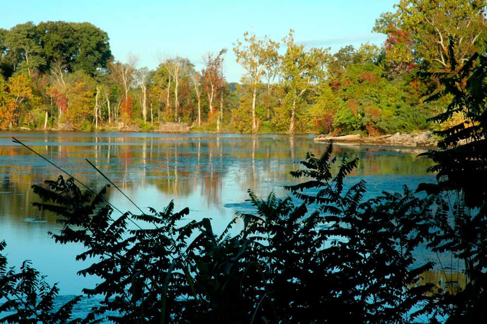 A calm lake reflecting autumn foliage along its wooded shoreline near Woodbridge, Virginia