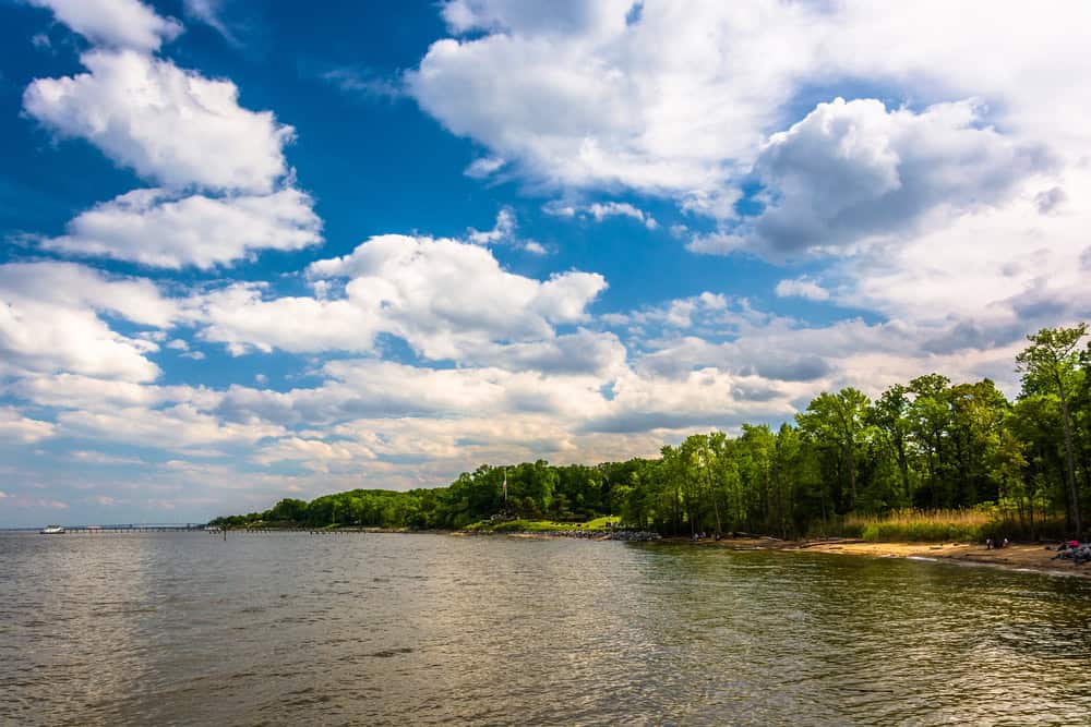Shoreline and pier at Downs Park in Pasadena