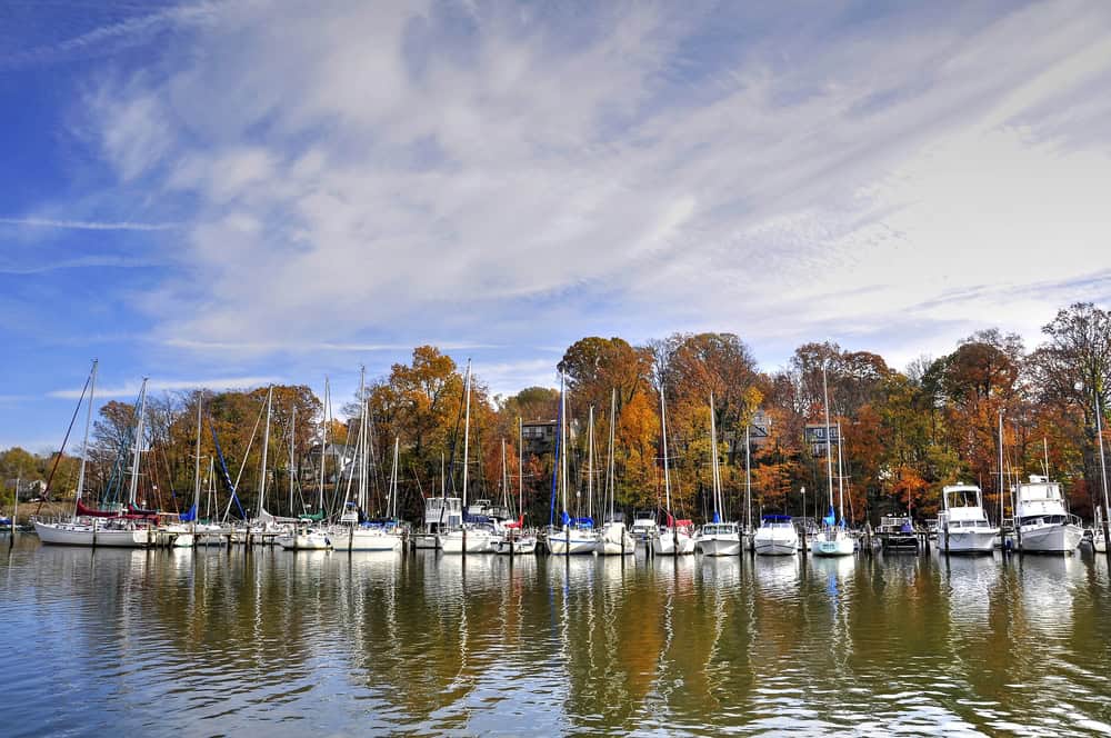 Sailboats docked at a marina in autumn